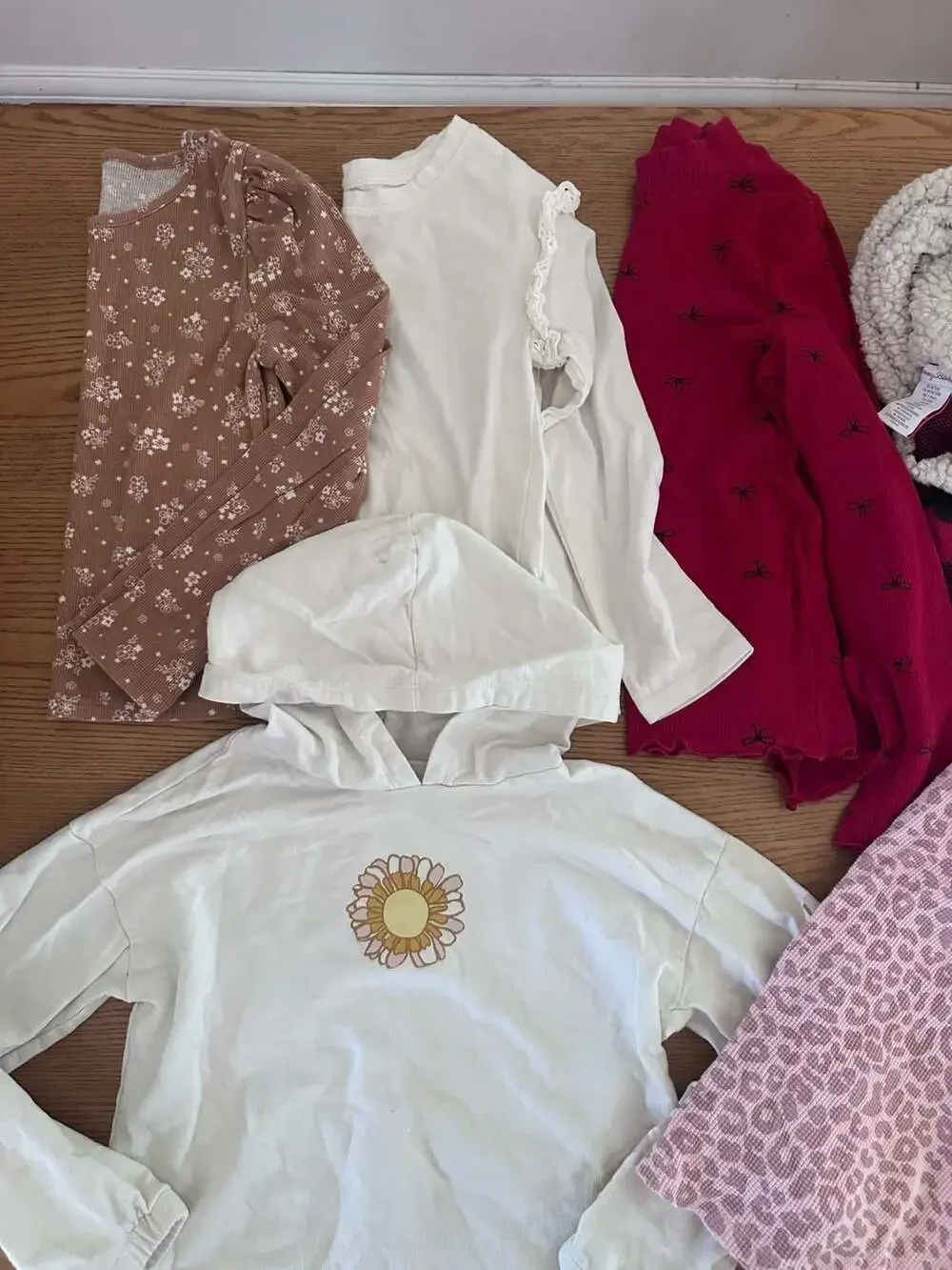 Girls Assorted Clothing Bundle - Hoodies, Thermal Dresses, and Long Sleeve Shirt